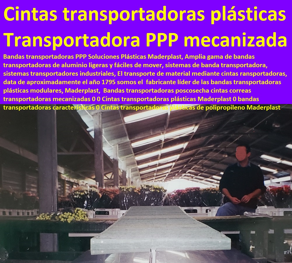 Bandas transportadoras poscosecha cintas correas transportadoras mecanizadas 0 0 Cintas transportadoras plásticas Maderplast 0 TUTORES PARA FLORES, CABLE VÍA BANANAS AROMÁTICAS, Cultivos Tecnificados, Invernaderos, Semilleros, Bancos De Siembra, Hidroponía, Agricultura, Cosecha, Poscosecha, bandas transportadoras características 0 Cintas transportadoras plásticas de polipropileno Maderplast Bandas transportadoras poscosecha cintas correas transportadoras mecanizadas 0 0 Cintas transportadoras plásticas Maderplast 0 bandas transportadoras características 0 Cintas transportadoras plásticas de polipropileno Maderplast